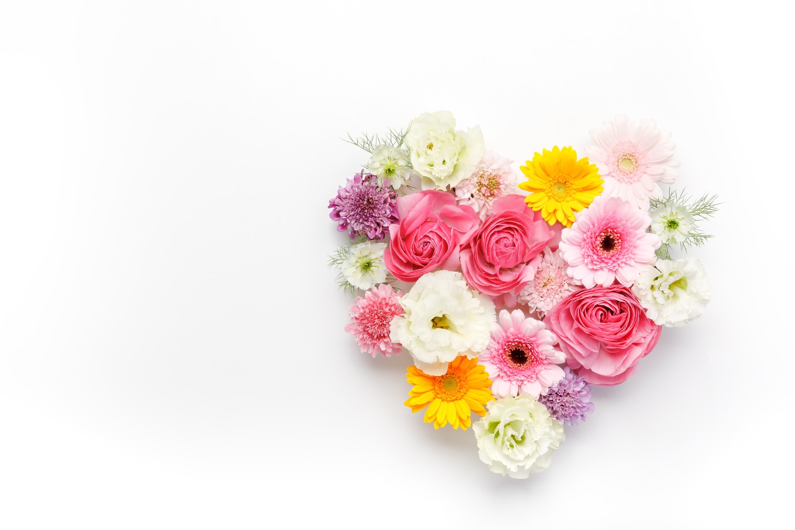 ホワイトデーにはバラをプレゼント 人気の花束や本数による花言葉も パワースポット巡りでご利益を 開運ネット