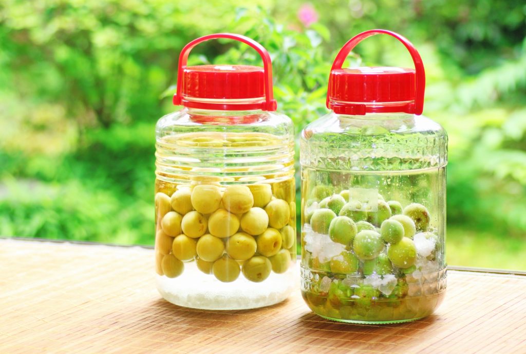 梅シロップの氷砂糖が溶けない 溶ける期間と保管方法や使い方は パワースポット巡りでご利益を 開運ネット