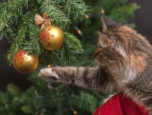クリスマスツリー 猫 対策